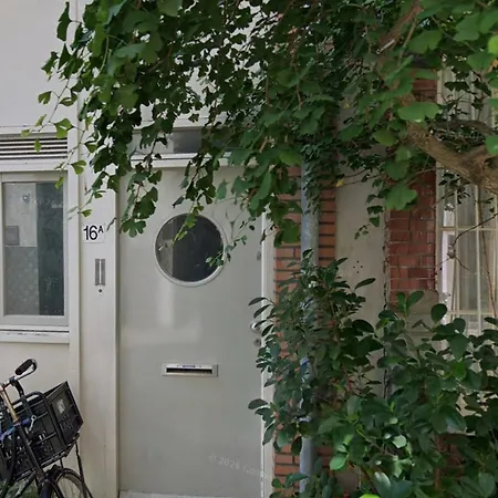In Zijstraat Amsterdam